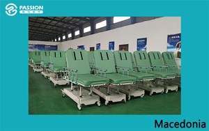 Electric Dialysis Bed