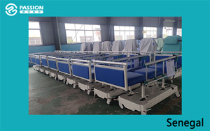 Electric Dialysis Bed