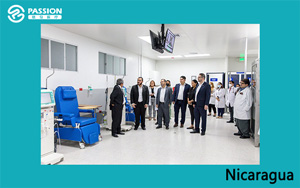 Manual Dialysis chair